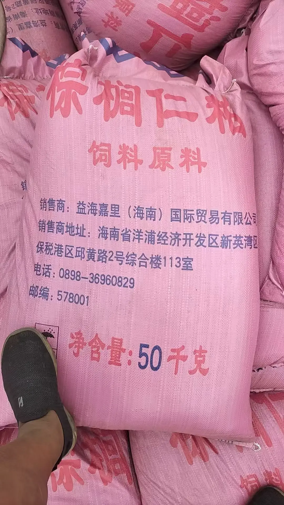 棕榈仁粕 产品图片