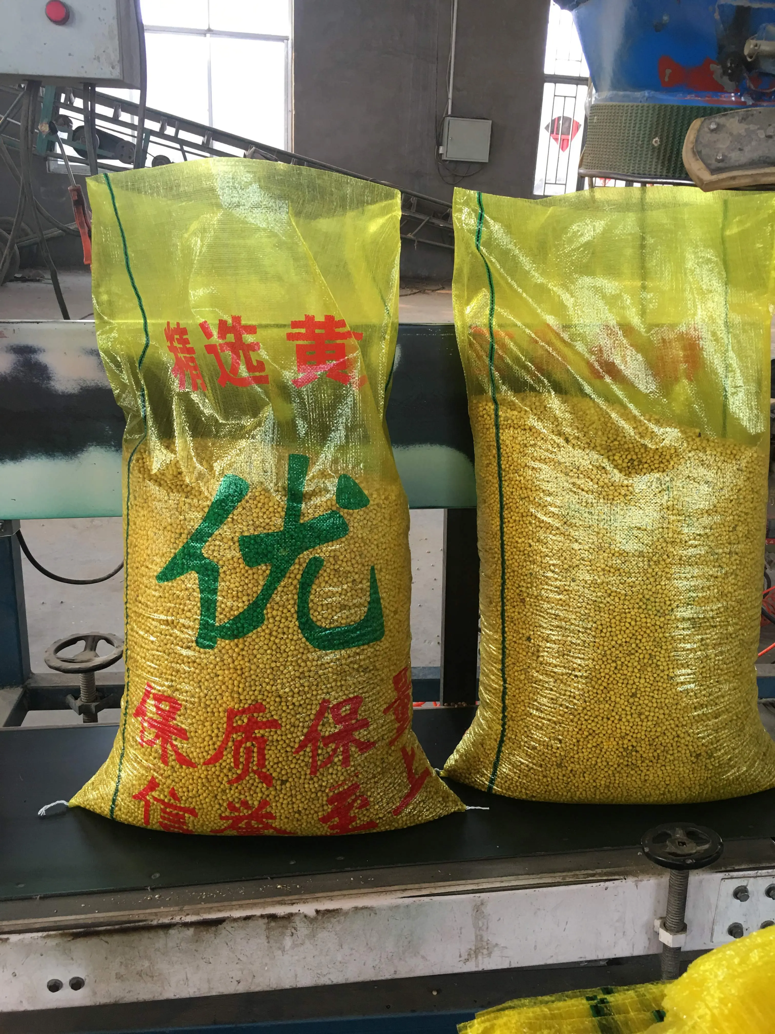 进口大豆 产品图片